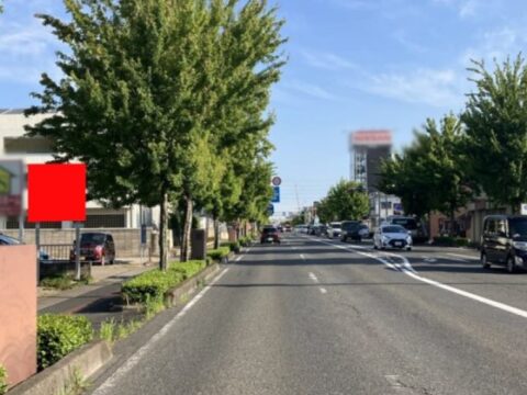 メディア紹介画像